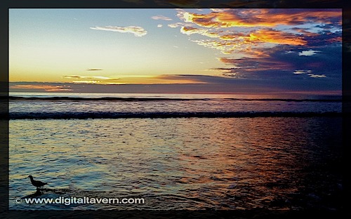 Encinitas California Beacon's Beach Sunset Sandpiper